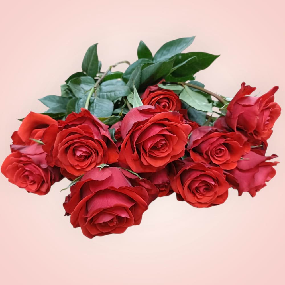 Valentine`s Day 26