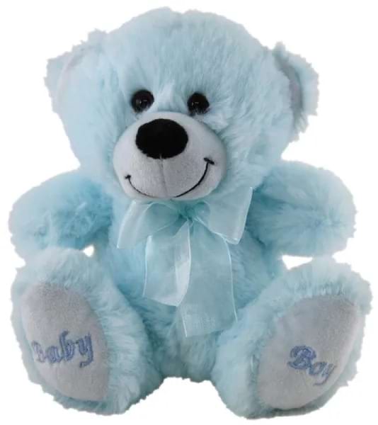Baby boy bear small